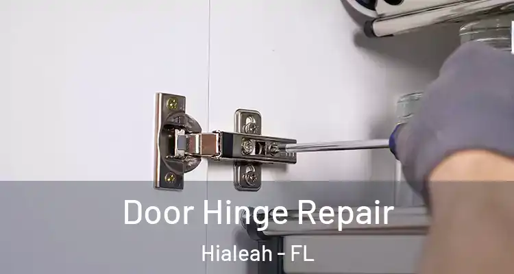  Door Hinge Repair Hialeah - FL