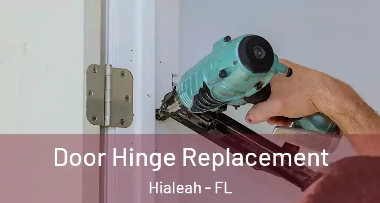  Door Hinge Replacement Hialeah - FL