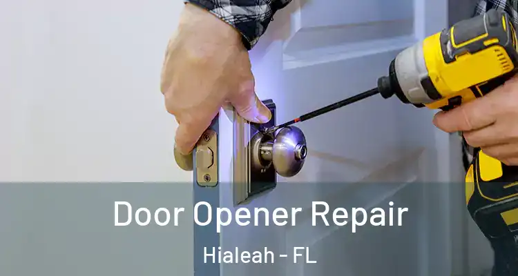  Door Opener Repair Hialeah - FL