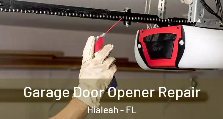  Garage Door Opener Repair Hialeah - FL