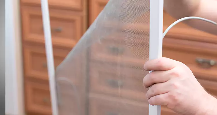 Privacy Mesh Screen Door Installation in Hialeah, FL