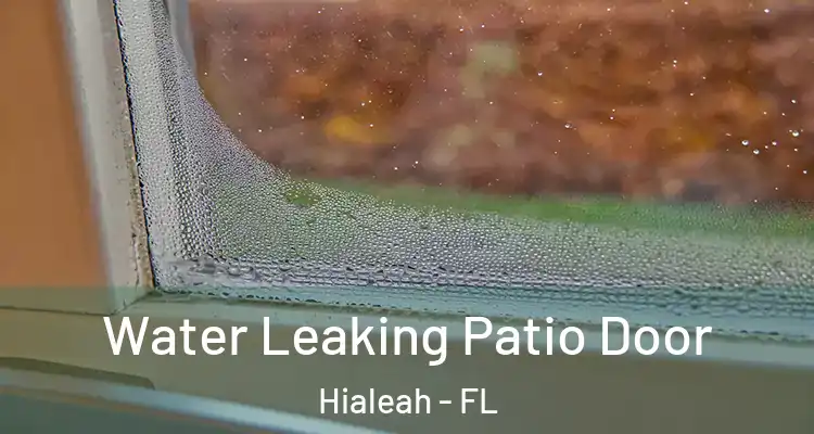  Water Leaking Patio Door Hialeah - FL